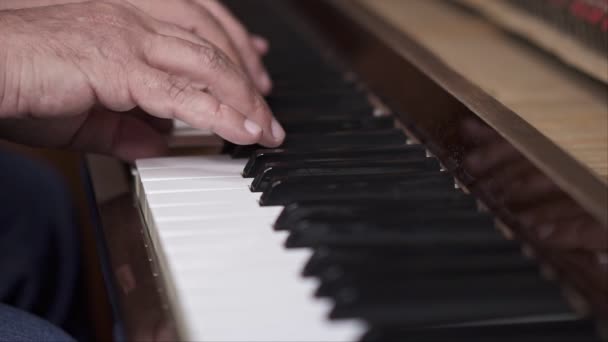 Εκτέλεση Του Πιανίστα Κοντινό Βολή Αργής Κίνησης Ρηχό Βάθος Πεδίου — Αρχείο Βίντεο