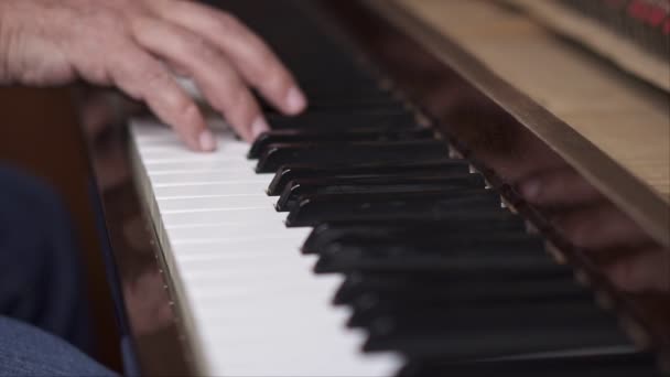 Pianista Realizando Primer Plano Plano Cámara Lenta Con Poca Profundidad — Vídeo de stock