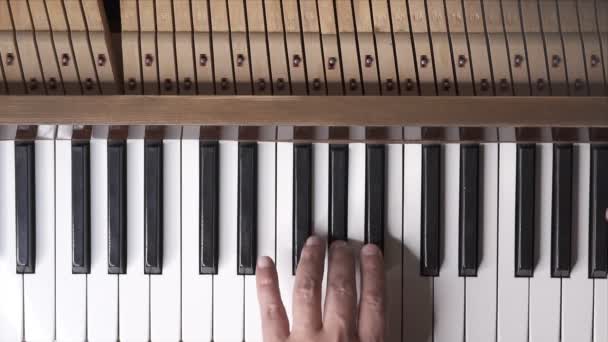 Musikern Spelar Piano Slow Motion Uppifrån Medium Shot Med Grunt — Stockvideo