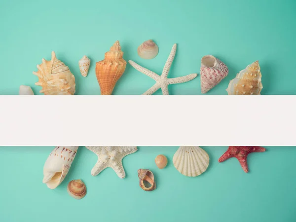 Sommer Kreatives Layout Mit Muscheln Und Seesternen Kollektion Auf Blauem — Stockfoto