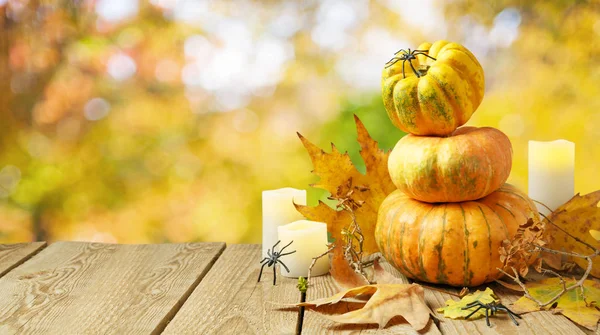 Halloween Vakantie Decoratieve Compositie Met Pompoenen Herfstbladeren Val Bokeh Achtergrond — Stockfoto
