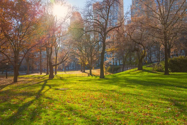 Central Park New York Usa Höst Med Vackra Hösten Träd — Stockfoto