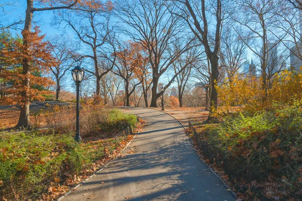 Central Park Nueva York Otoño Con Hermosos Árboles Otoño —  Fotos de Stock