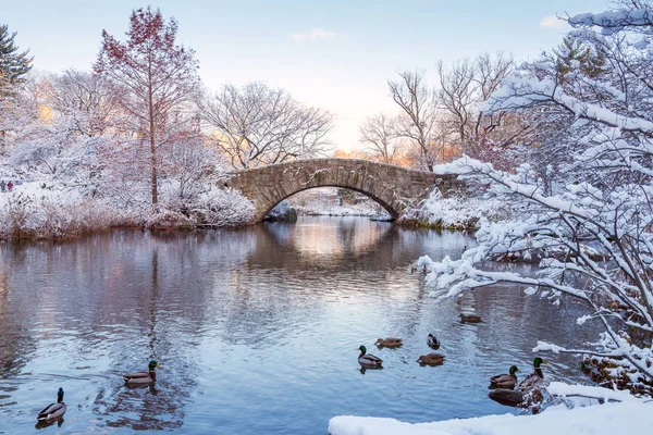 Central Park Nova Iorque Eua Inverno Coberto Neve Ponte Gapstow — Fotografia de Stock