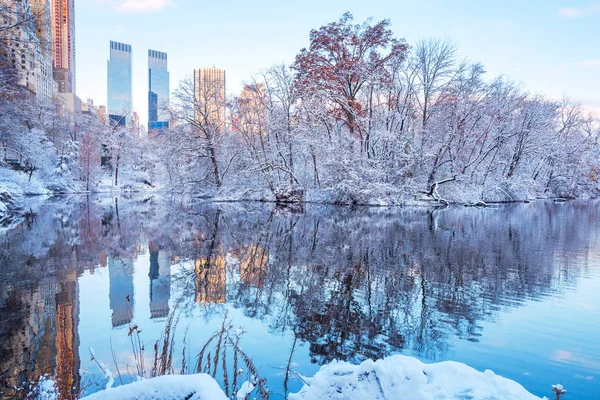 Central Park Nova Iorque Eua Inverno Coberto Neve — Fotografia de Stock