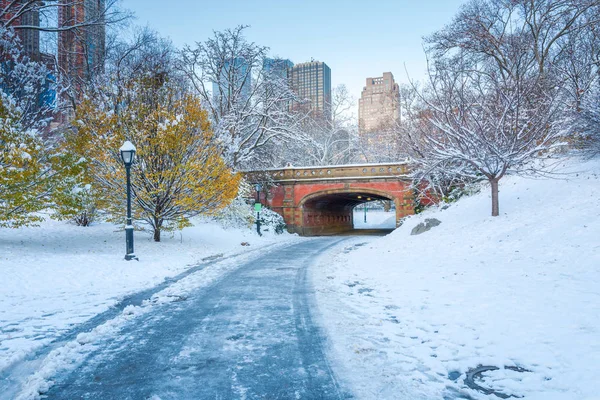 セントラル パーク ニューヨーク 雪で覆われた冬の米国 — ストック写真