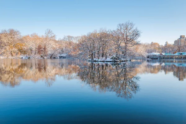 Central Park New York Usa Winter Covered Snow — Stock Photo, Image