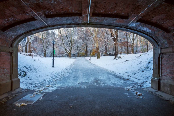 セントラル パーク ニューヨーク 雪で覆われた冬の米国 — ストック写真