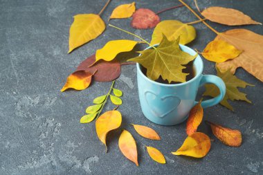 Fincan çay ve sonbahar tahta masada yaprakları. Sonbahar konsepti