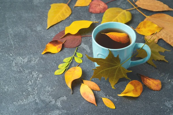 Taza de té y hojas de otoño en la mesa de pizarra. Concepto de otoño —  Fotos de Stock