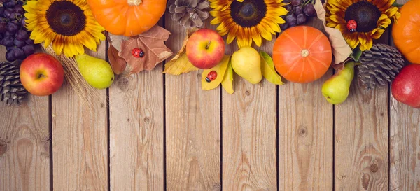 Podzimní koncepce sklizně s dýní, jablky a slunečnice na WO — Stock fotografie