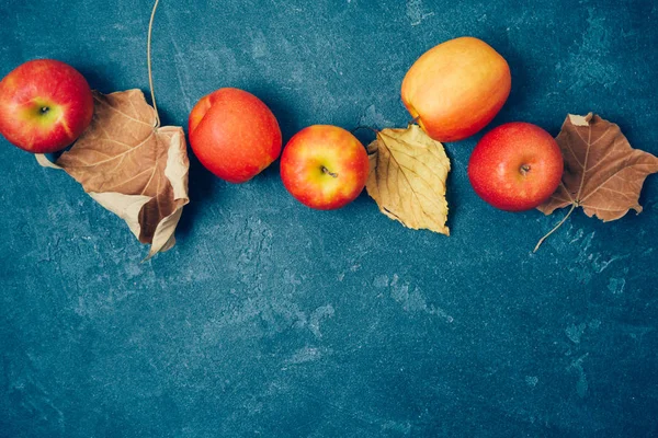 Podzimní sklizeň v pozadí s červenými jablky a listy nad b — Stock fotografie