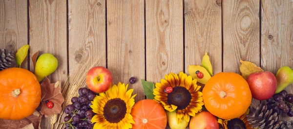 Autumn harvest concept with pumpkin, apples and sunflowers on wo — Stock Photo, Image