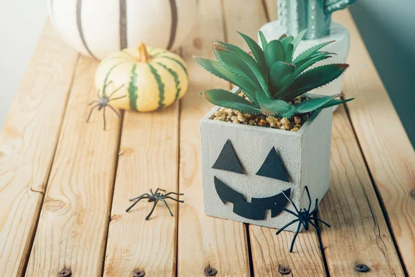 Kaktüs bitki jack o fener chara ile Cadılar Bayramı tatil konsepti — Stok fotoğraf