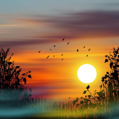 uçan bir kuş. güzel manzara.