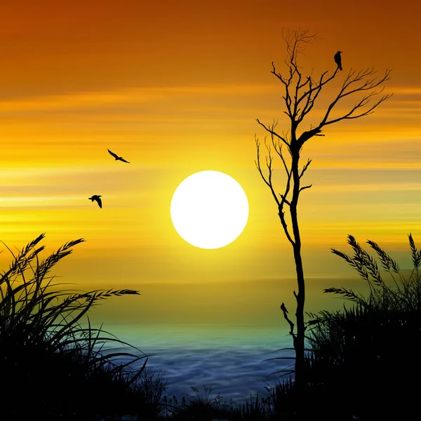 uçan bir kuş. güzel manzara.