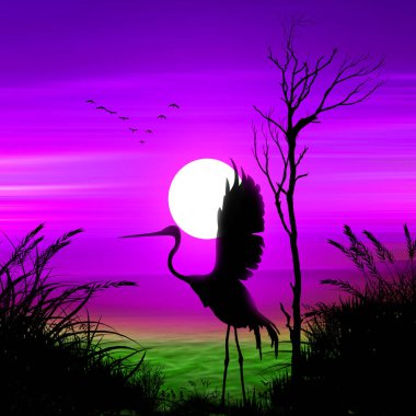 uçan bir kuş. güzel manzara.