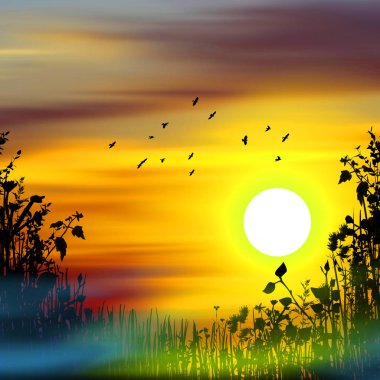 uçan bir kuş. güzel manzara.