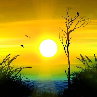 uçan bir kuş. güzel manzara.