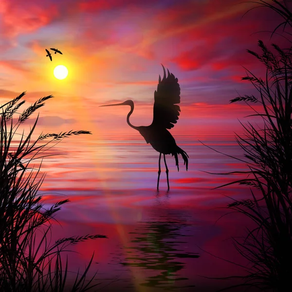 Latający Ptak Piękny Krajobraz — Zdjęcie stockowe