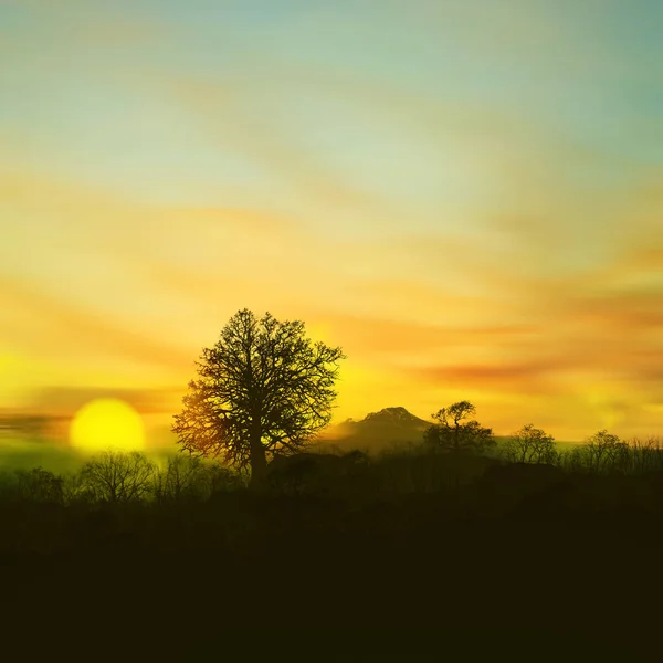 美丽的风景在日落期间 — 图库照片