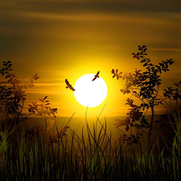 Illustratie Prachtige Landschap Tijdens Zonsondergang — Stockfoto