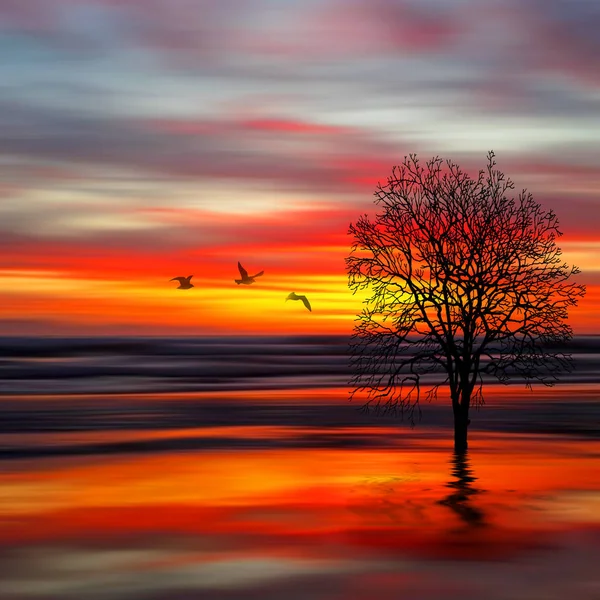 Illustratie Prachtige Landschap Tijdens Zonsondergang — Stockfoto