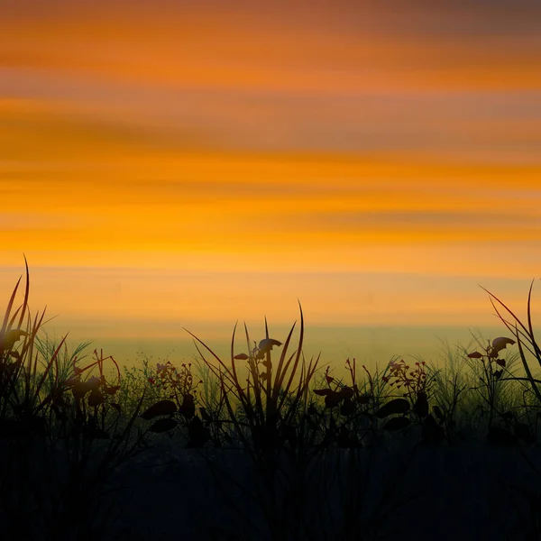 Obrázek Krásná Krajina Při Západu Slunce — Stock fotografie