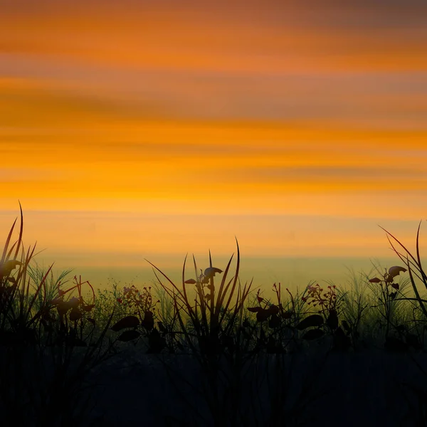 Ilustración Hermoso Paisaje Durante Puesta Del Sol — Foto de Stock