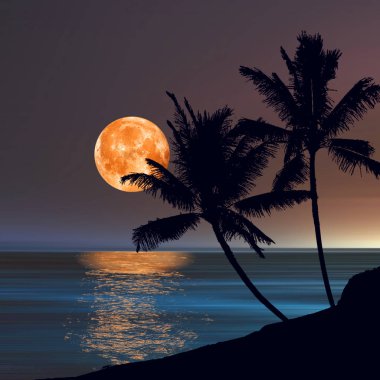 3D çizim. Gün batımı sırasında güzel manzara.