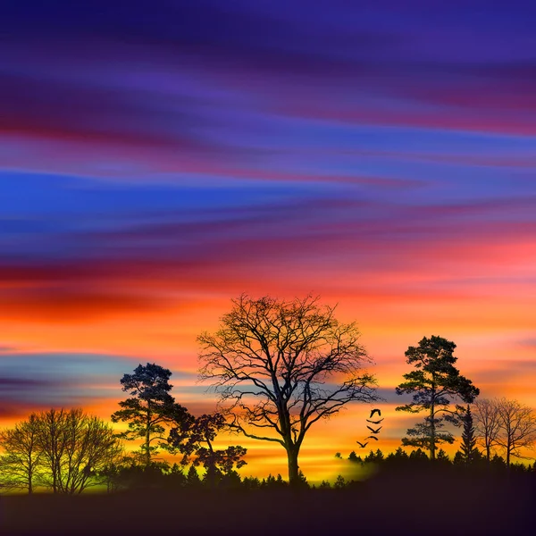 Çizim Renkli Sanatsal Vahşi Manzara — Stok fotoğraf