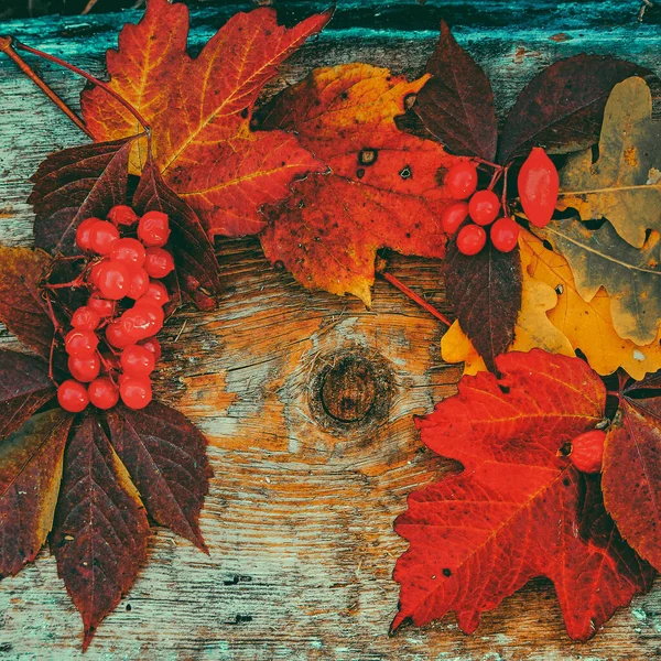 Red, orange leaves with bokeh on a black background.