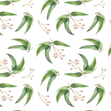 Okaliptüs suluboya dikişsiz desen.