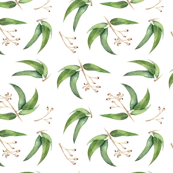 Okaliptüs suluboya dikişsiz desen.