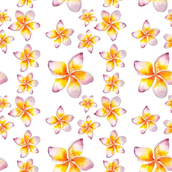 Plumeria ile Seamless Modeli.