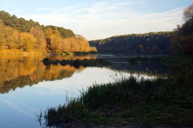 sonbahar nehir ve orman        