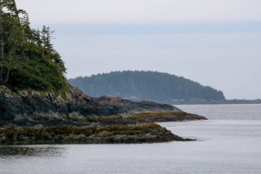 Okyanusa ulaşan bir kayalık shoring.