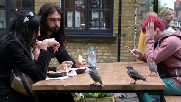 Londýn 2019 Lidé Seděli Venkovním Jídelním Prostranství Camden Market Ptáci — Stock video