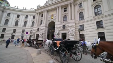 VİANNA - 11 Temmuz 2019: ULTRA Hofburg binasının önünden vurularak turistleri gezintiye çıkarmak için bekleyen at arabalarını gözler önüne serdi.