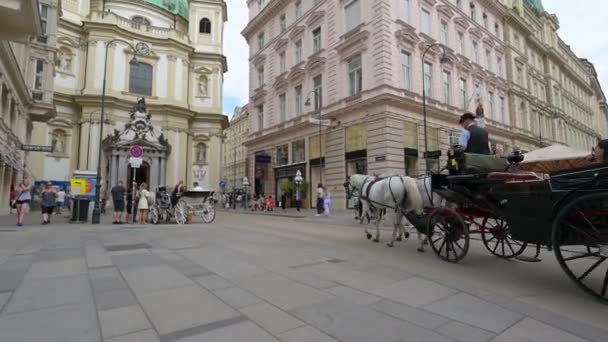 Vídeň Června 2019 Slow Zoom Horse Drawn Carriage Passed Tourists — Stock video