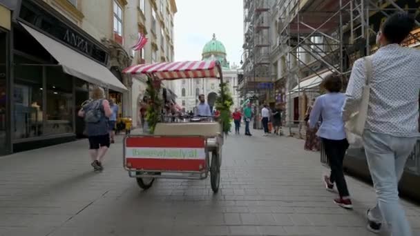 ウィーン 2019年7月11日 オーストリアのウィーンにあるホフブルグの前にある賑やかな観光客の通りに沿って サイクルリクシャーが押されました — ストック動画