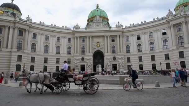 Vídeň Června 2019 Slow Zoom Horse Drawn Carriage Carry Tourists — Stock video