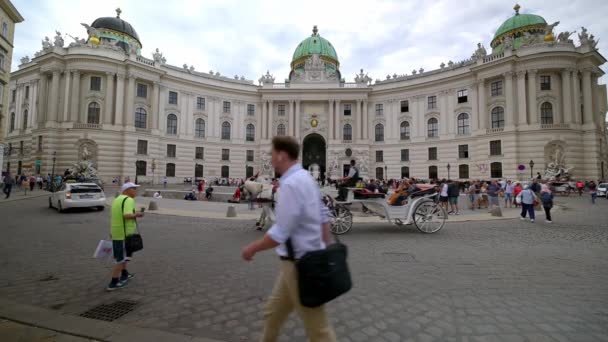 Vienna Juli 2019 Wide Shot Som Hästdragen Vagn Och Busskort — Stockvideo