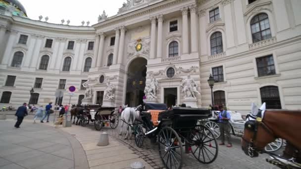 Wiedeń Lipiec 2019 Ultra Wide Panning Shot Frontu Budynku Hofburg — Wideo stockowe