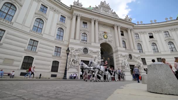 维也纳 2019年7月11日 奥地利维也纳霍夫堡大楼前的马拉车运载观光游客的地面走廊全景 — 图库视频影像