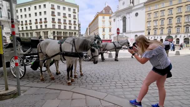 Vienna Luglio 2019 Una Giovane Turista Con Uno Smartphone Fotografare — Video Stock