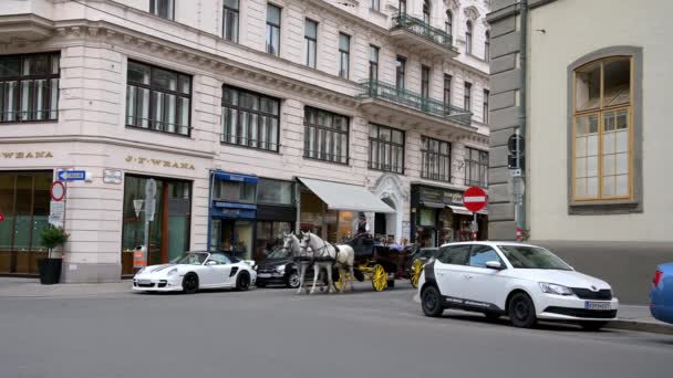 Vienne Juillet 2019 Une Calèche Attelée Cheval Qui Déplace Lentement — Video