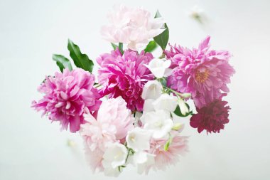 Taze şakayık çiçeği buketi. Güzel Pembe Çiçekler hala hayatta. renk Arkaplanı