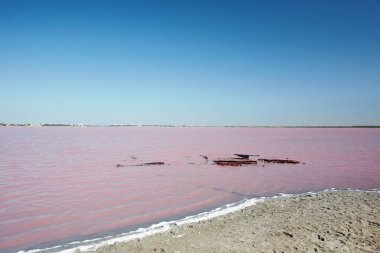 Kırım 'da güneşli bir günde iyileştirici pembe çamur gölü