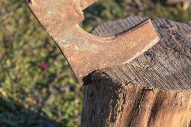 kesme günlük görünümü Kapat kışın gömülü balta